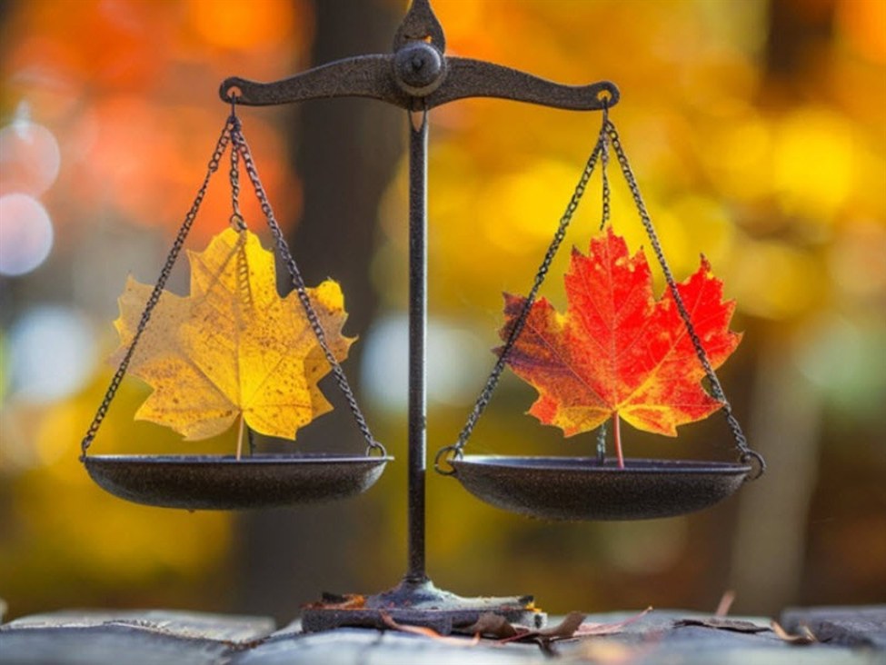 Canada Q3 current account -9.68 billion vs -16.50 billion expected