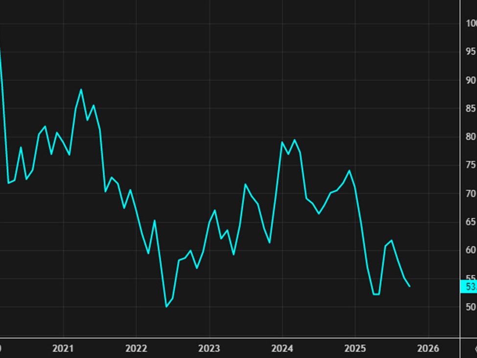 US November final UMich consumer sentiment 51.0 vs 50.5 expected