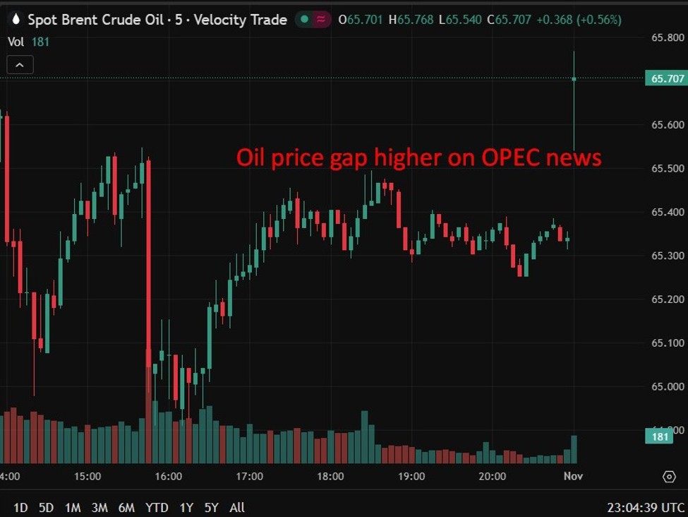 Oil futures are open for trade, price pops after OPEC paused output hikes for Q1 2026