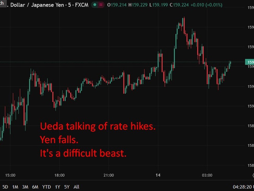 BOJ Ueda: Will continue to raise rates if economy, prices, wages develop in line