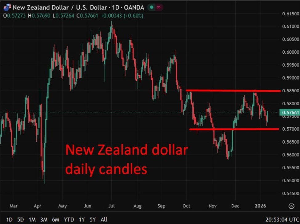 New Zealand business confidence surges to decade high as recovery gathers pace