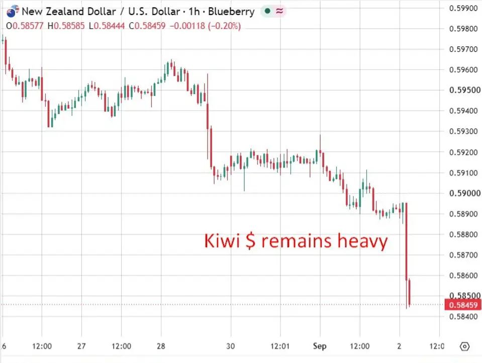 RBNZ chief says rate settings still accommodative despite hikes