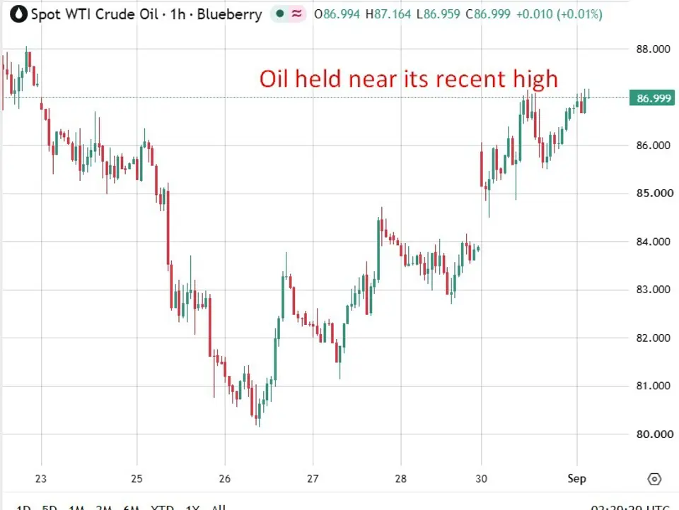 Oil steady near highs, gold flat
